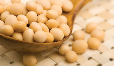 jbo������(�羺)-Ϊ���Ӿ�������,Ϊ��ҫ����