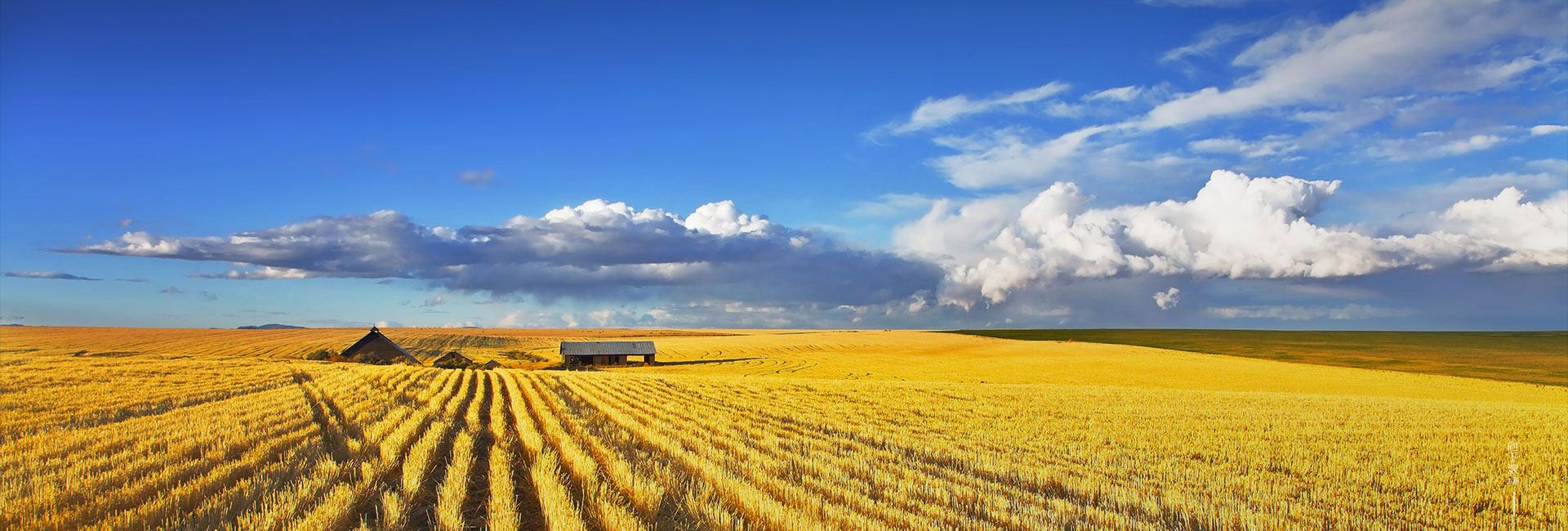 jbo������(�羺)-Ϊ���Ӿ�������,Ϊ��ҫ����