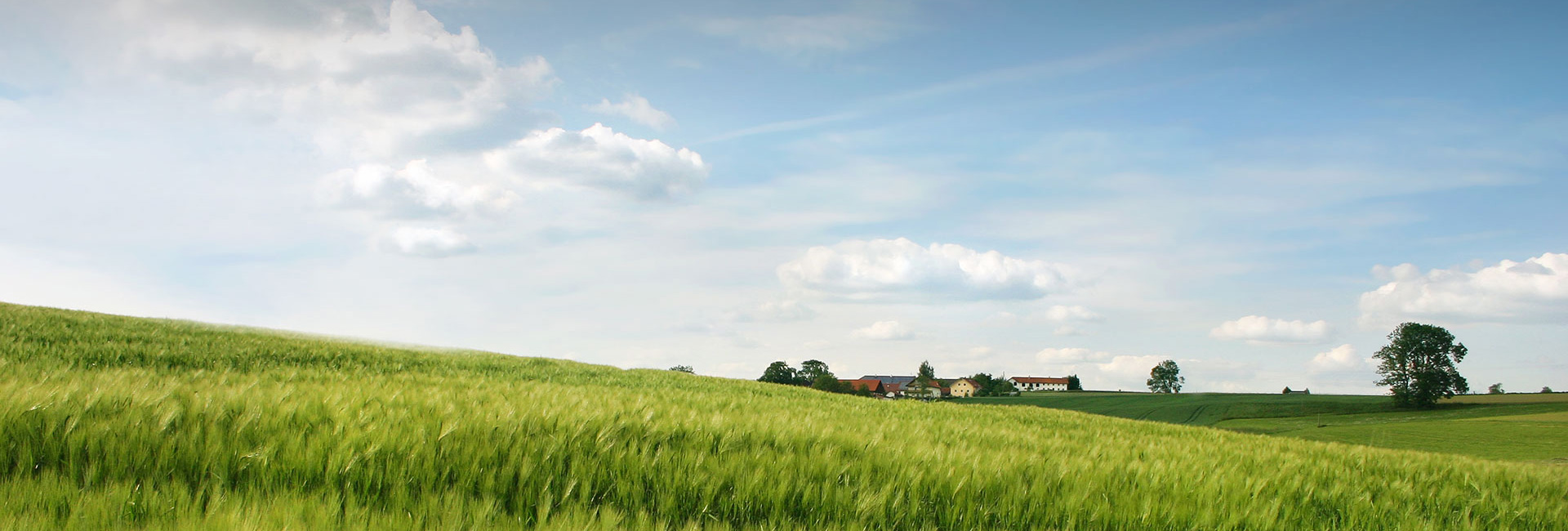 jbo������(�羺)-Ϊ���Ӿ�������,Ϊ��ҫ����