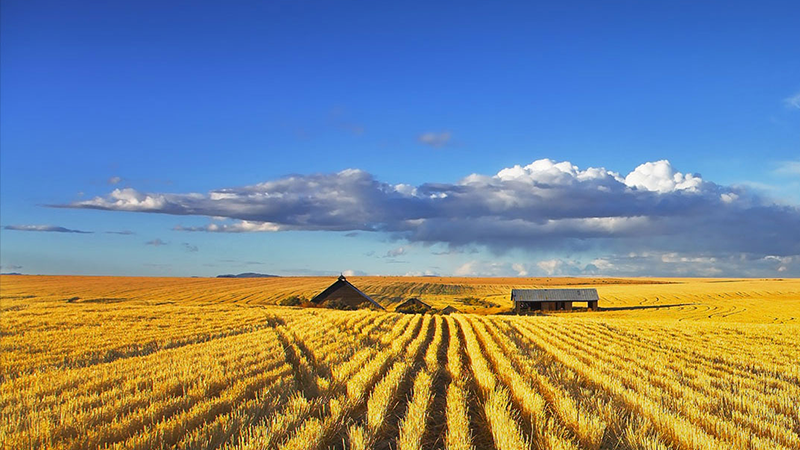 jbo������(�羺)-Ϊ���Ӿ�������,Ϊ��ҫ����