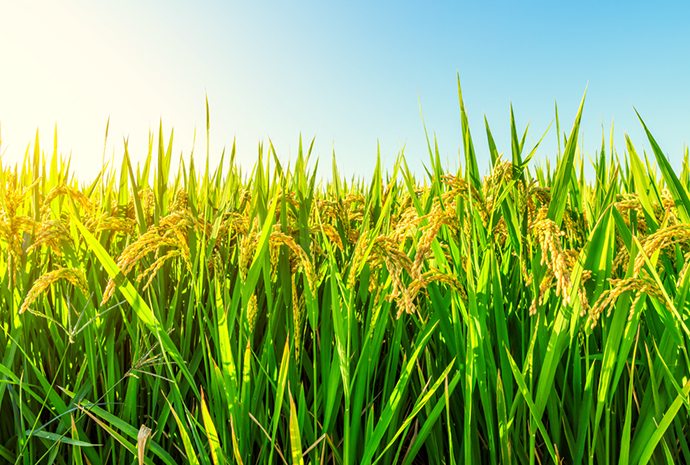 jbo������(�羺)-Ϊ���Ӿ�������,Ϊ��ҫ����