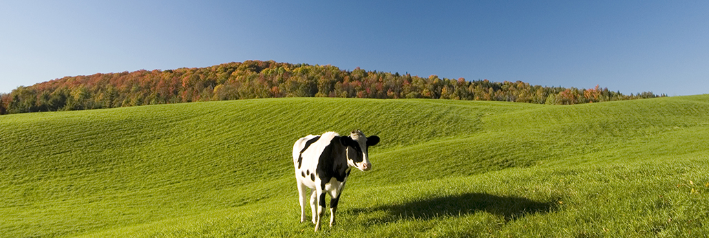 jbo������(�羺)-Ϊ���Ӿ�������,Ϊ��ҫ����