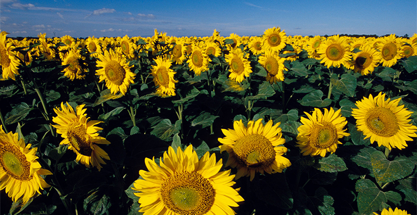 jbo������(�羺)-Ϊ���Ӿ�������,Ϊ��ҫ����