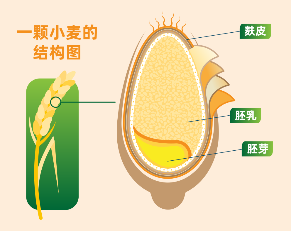 jbo������(�羺)-Ϊ���Ӿ�������,Ϊ��ҫ����